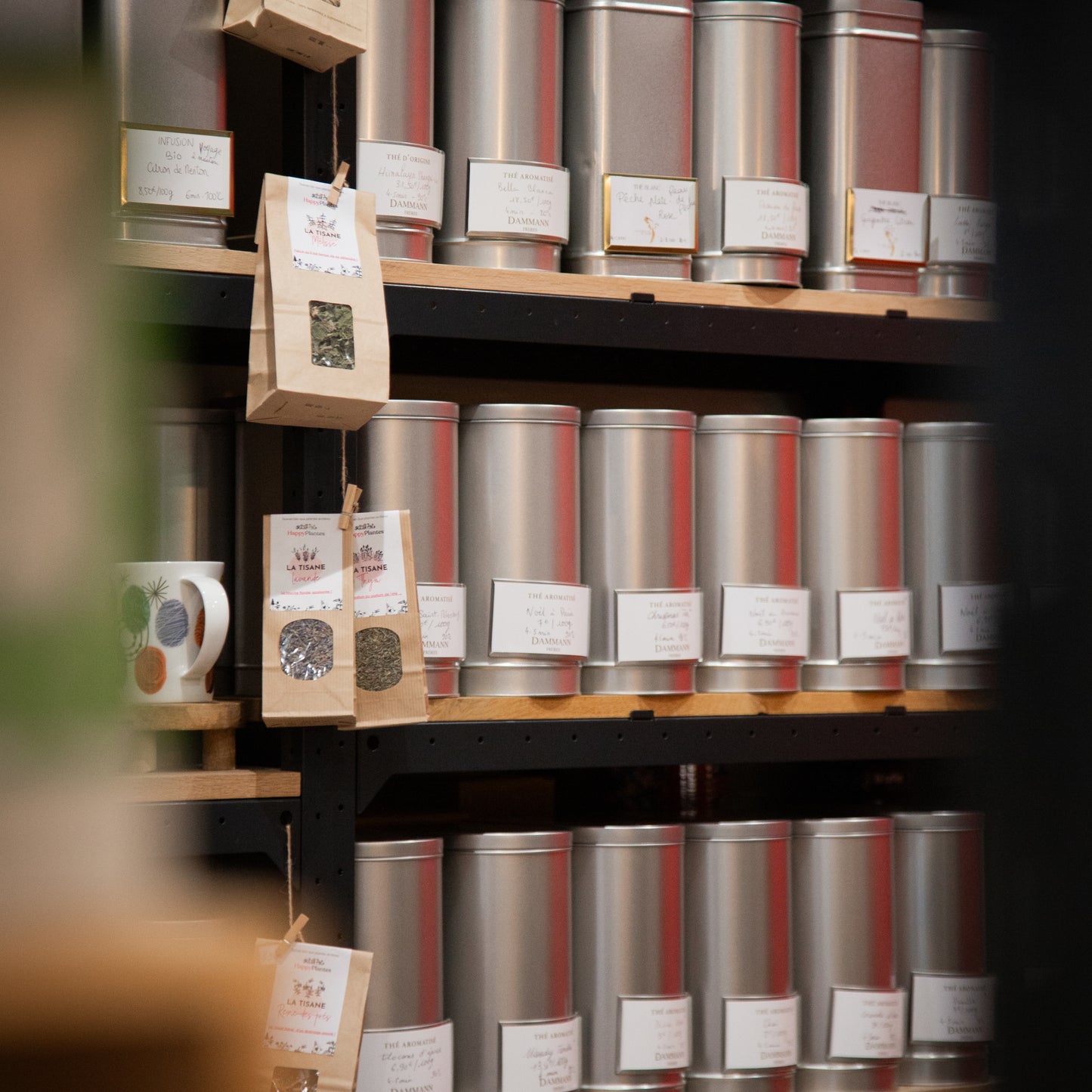 Infusion de fruits - Au pays des merveilles